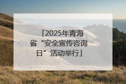2025年青海省“安全宣传咨询日”活动举行