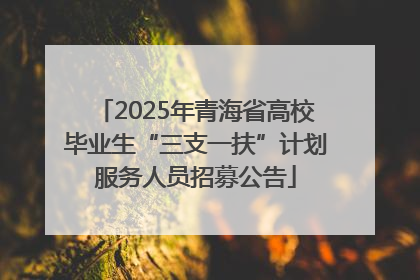 2025年青海省高校毕业生“三支一扶”计划服务人员招募公告