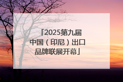 2025第九届中国（印尼）出口品牌联展开幕