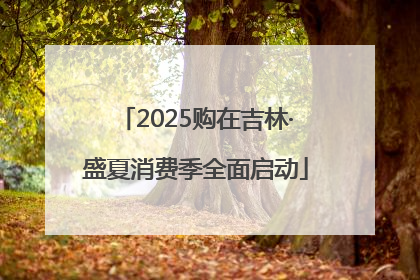 2025购在吉林·盛夏消费季全面启动