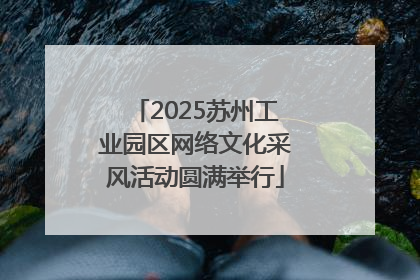 2025苏州工业园区网络文化采风活动圆满举行