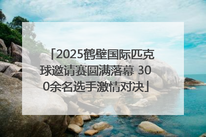 2025鹤壁国际匹克球邀请赛圆满落幕 300余名选手激情对决
