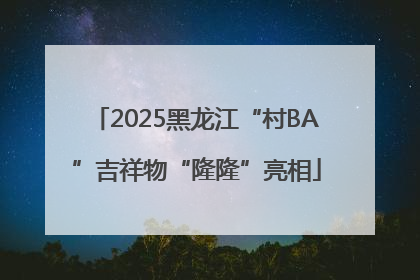 2025黑龙江“村BA”吉祥物“隆隆”亮相