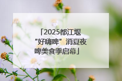 2025都江堰“好嗨啤”消夏夜啤美食季启幕