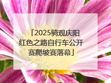 2025骑观庆阳红色之路自行车公开赛爬坡赛落幕