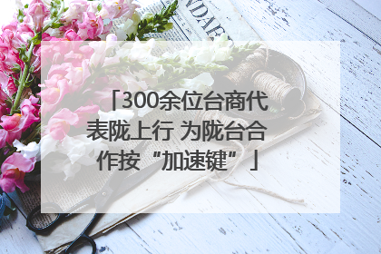 300余位台商代表陇上行 为陇台合作按“加速键”
