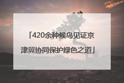 420余种候鸟见证京津冀协同保护绿色之道