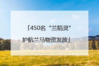 450名“兰精灵”护航兰马物资发放