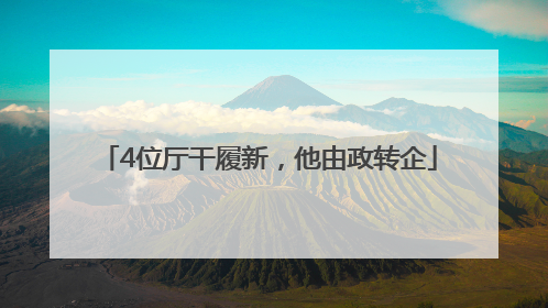 4位厅干履新，他由政转企