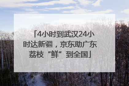 4小时到武汉24小时达新疆，京东助广东荔枝“鲜”到全国