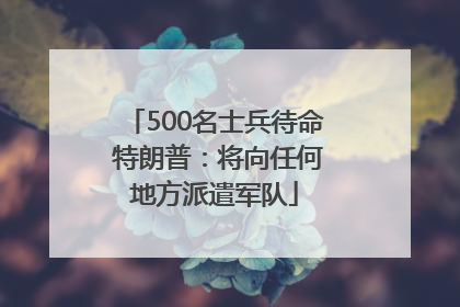 500名士兵待命 特朗普：将向任何地方派遣军队