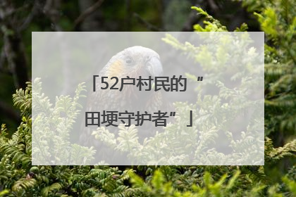 52户村民的“田埂守护者”