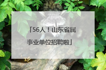 56人！山东省属事业单位招聘啦