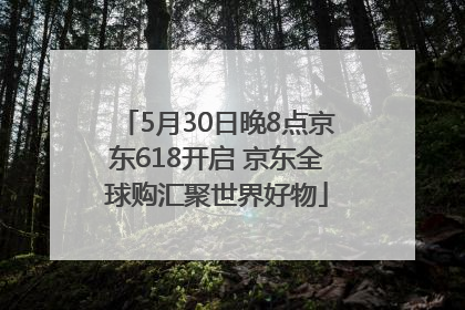 5月30日晚8点京东618开启 京东全球购汇聚世界好物