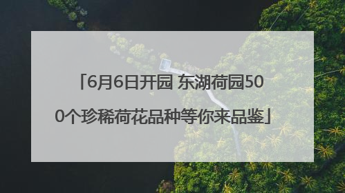 6月6日开园 东湖荷园500个珍稀荷花品种等你来品鉴