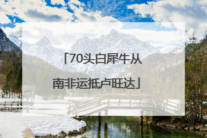 70头白犀牛从南非运抵卢旺达