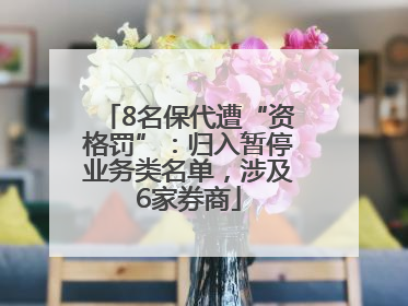 8名保代遭“资格罚”：归入暂停业务类名单，涉及6家券商