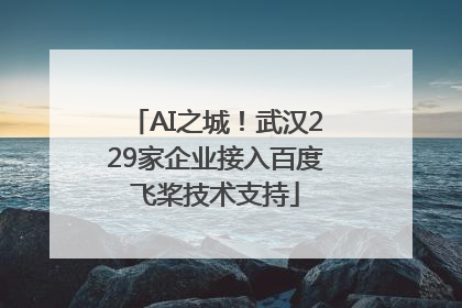 AI之城！武汉229家企业接入百度飞桨技术支持