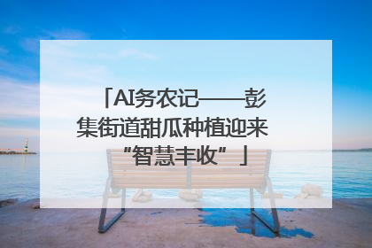 AI务农记——彭集街道甜瓜种植迎来“智慧丰收”