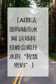 AI算法重构城市水网 这场科技峰会揭开水的“智慧密码”