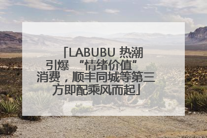 LABUBU 热潮引爆 “情绪价值” 消费，顺丰同城等第三方即配乘风而起